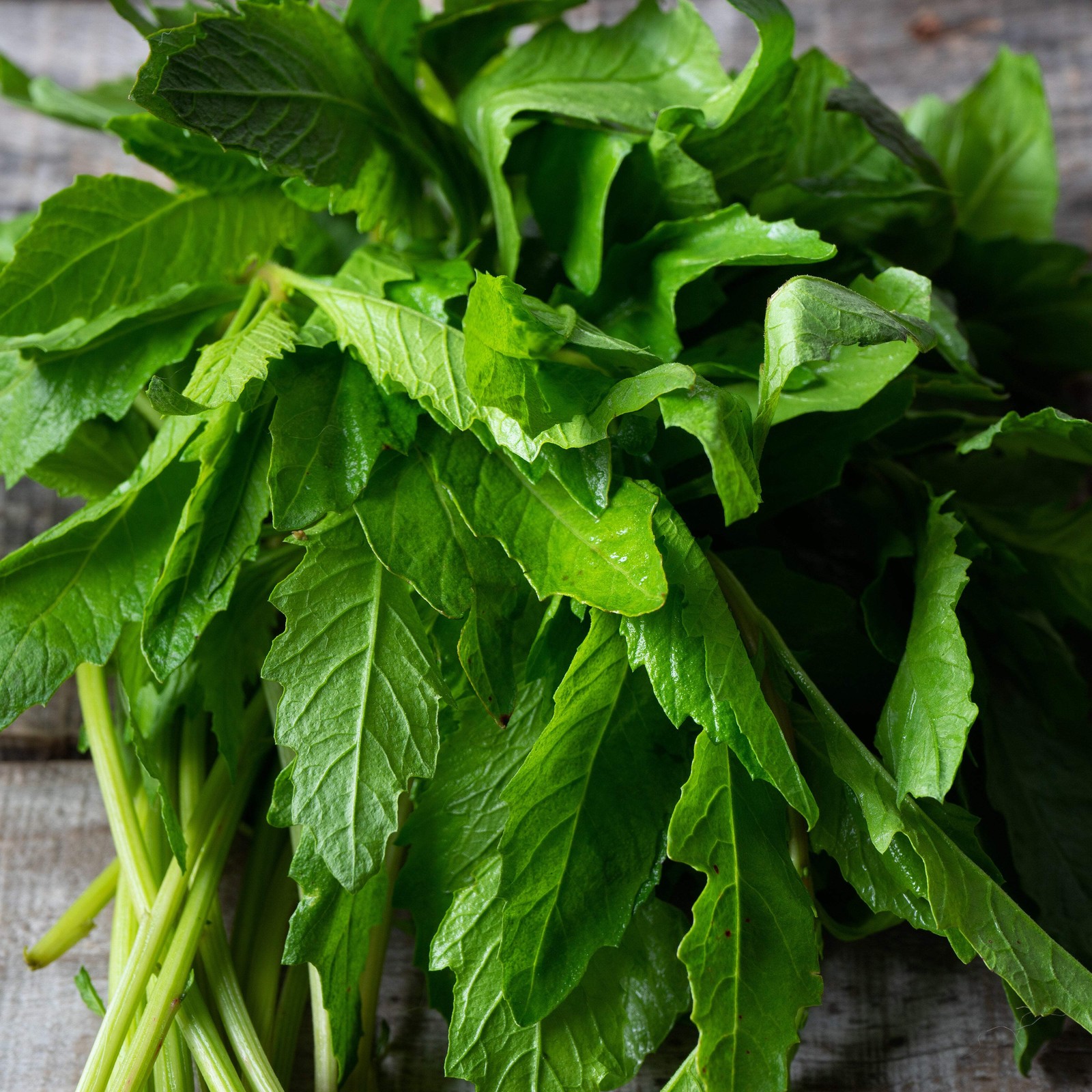 Epazote Seeds, Mexican Tea (Dysphania ambrosioides) ~Culinary Herb Garden