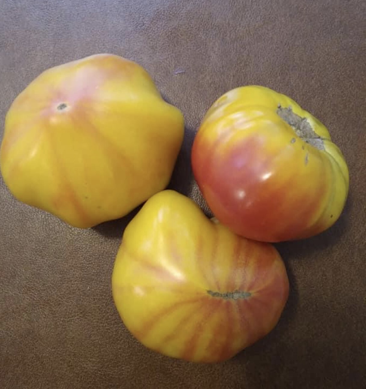 Old German Tomato Seeds | Heirloom | Organic