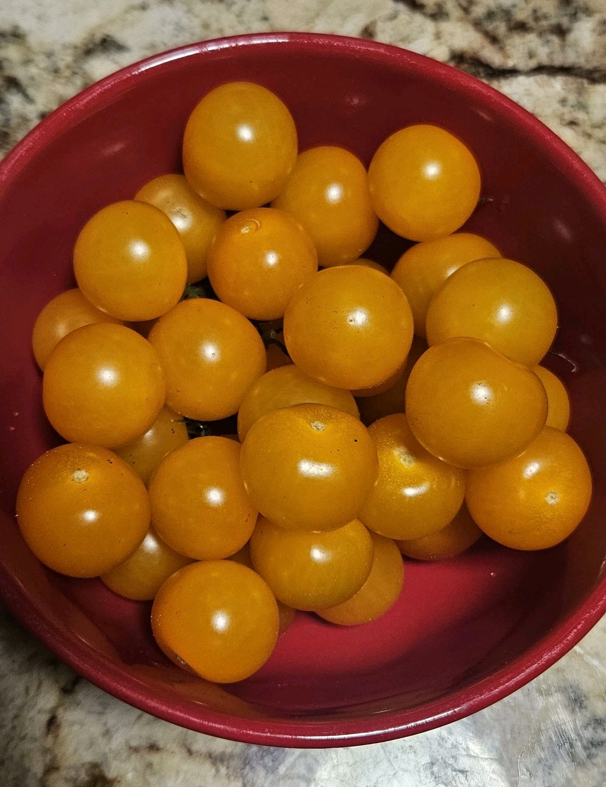 Lolli Bomb Orange Cherry Tomato Seeds (30) / Organic / Florida Grown / Rare