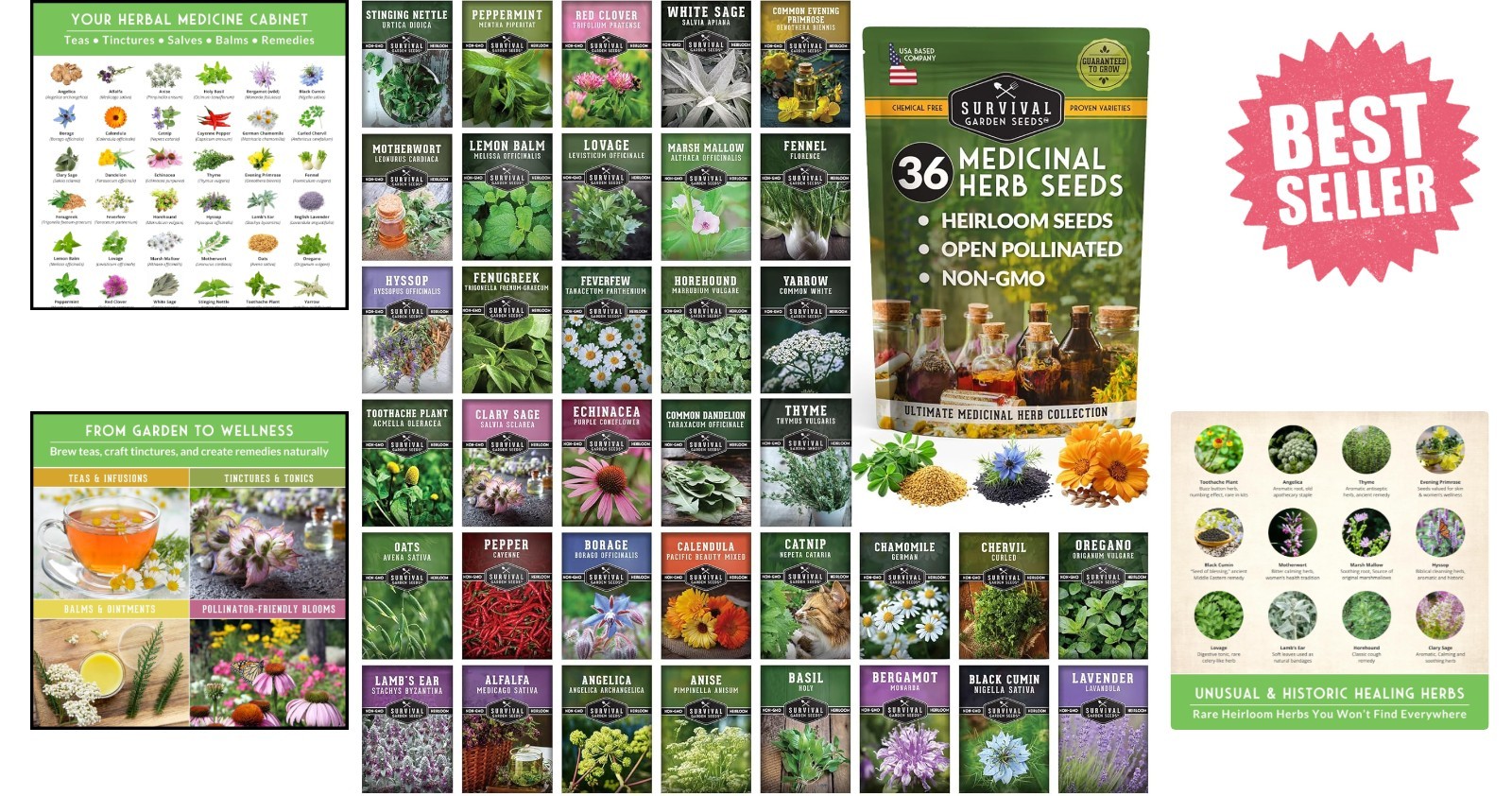 Drought-Tolerant Herb Seeds Variety Pack – 36 Non-GMO Heirloom Medicinal Plants
