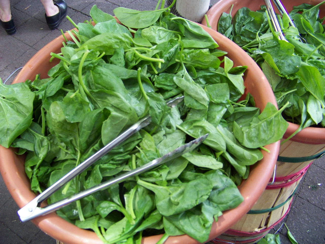 230 SEEDS – spinach BLOOMSDALE LONG STANDING GroCo USA – BUY ANY 15-SHIPS FREE