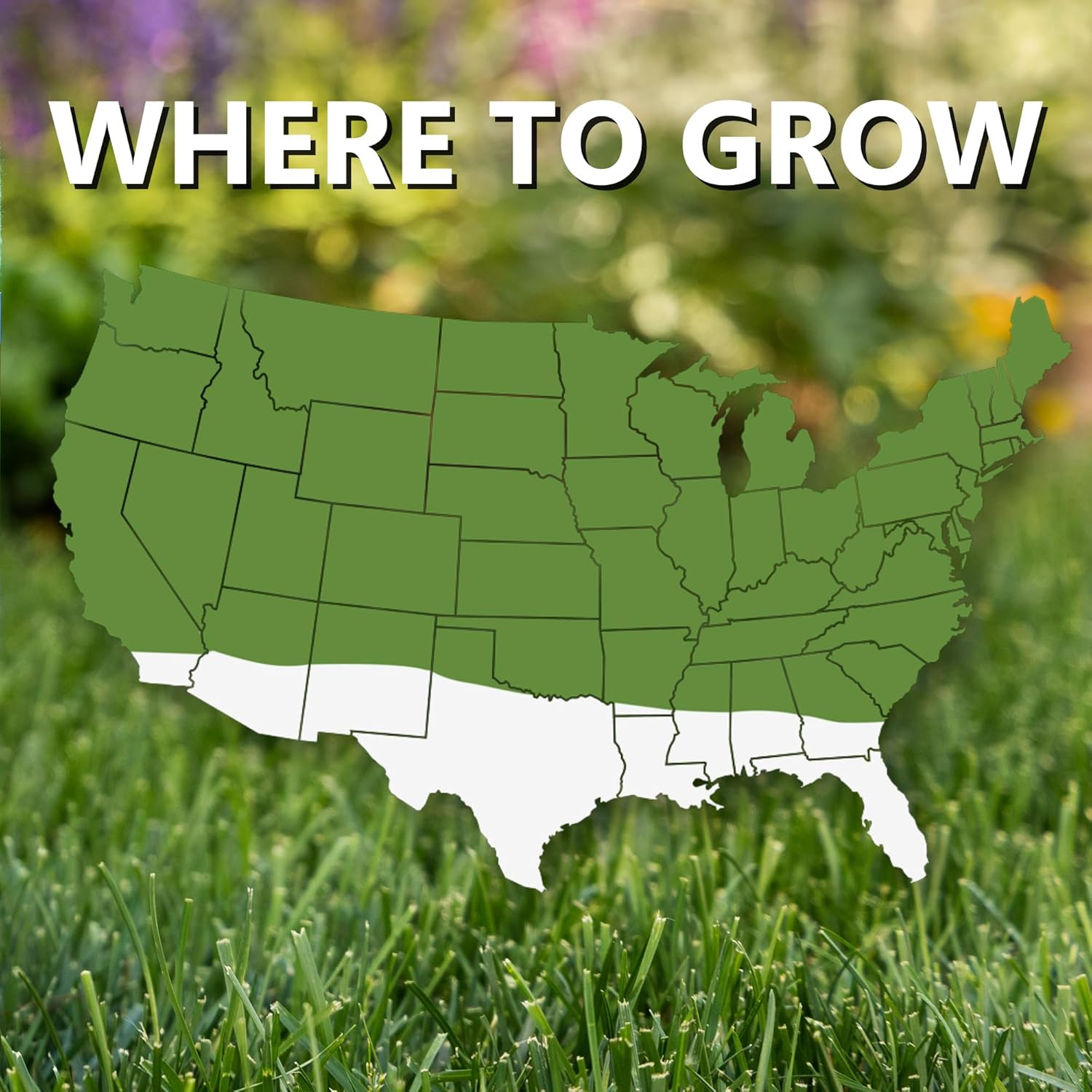 (10820) Fast Grow Grass Seed – Cool Season Lawn Seed (3 Lb)