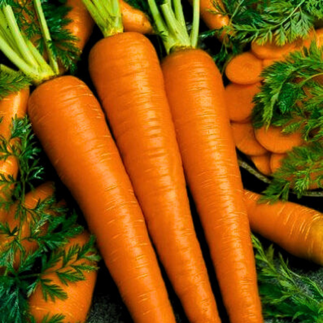 Fresh Little Fingers Baby Carrot Seeds | Heirloom Non-GMO | Vegetable Seeds