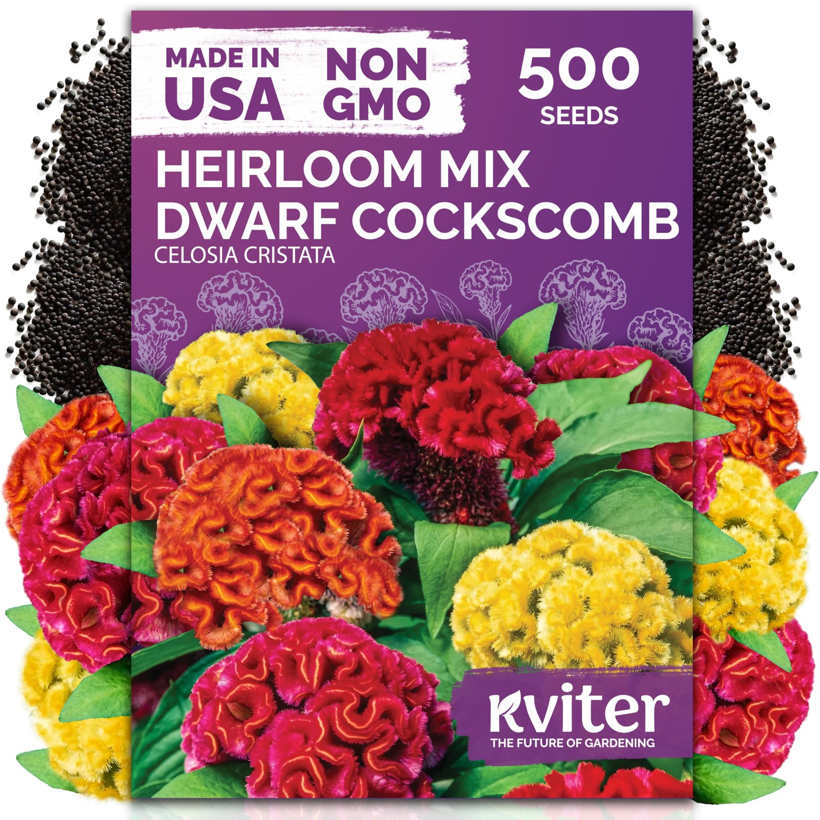 Dwarf Cockscomb Seeds Celosia Argentea Mix for Garden Flower Beds