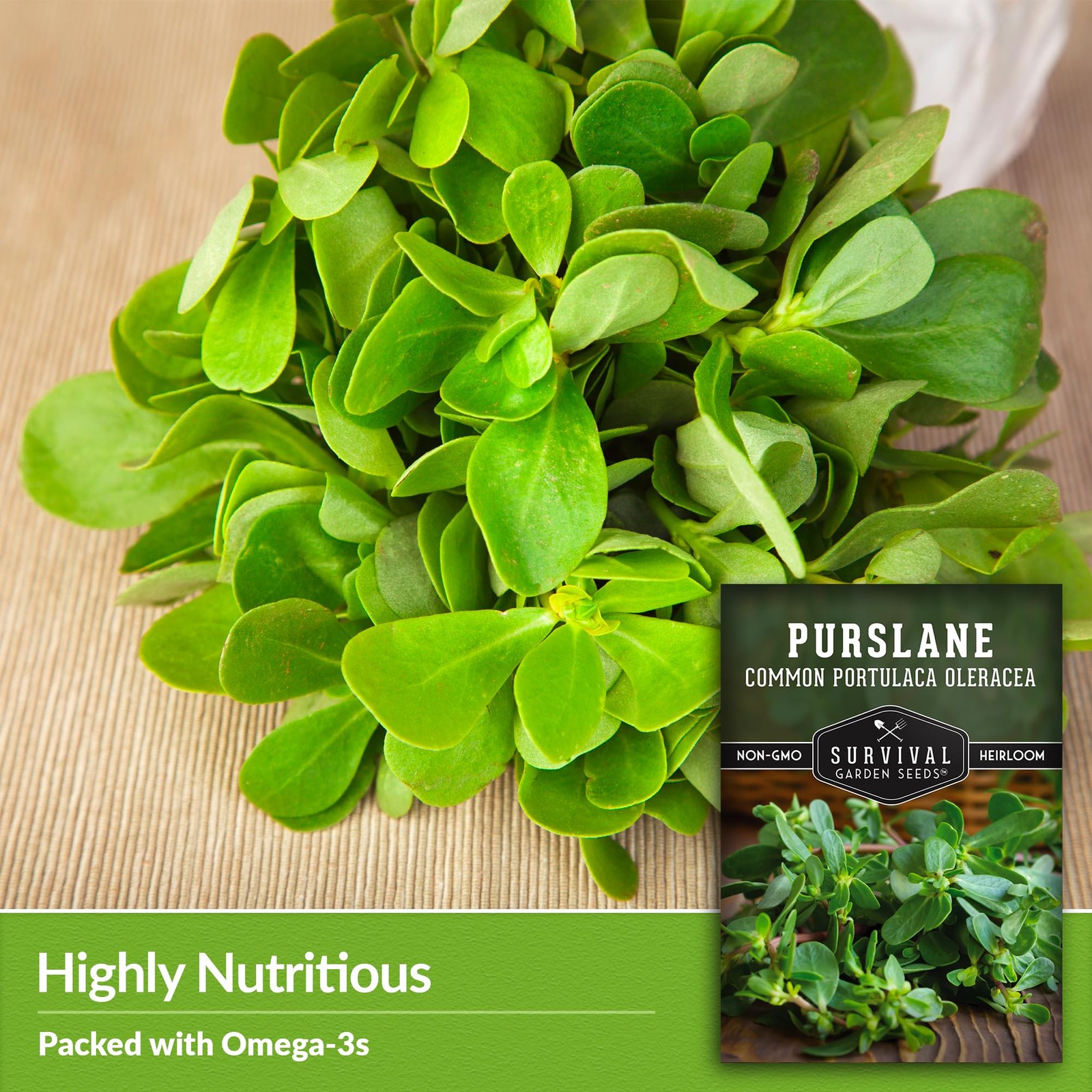 Purslane Seeds NonGMO Edible Portulaca Oleracea for Home Garden 3 Packs