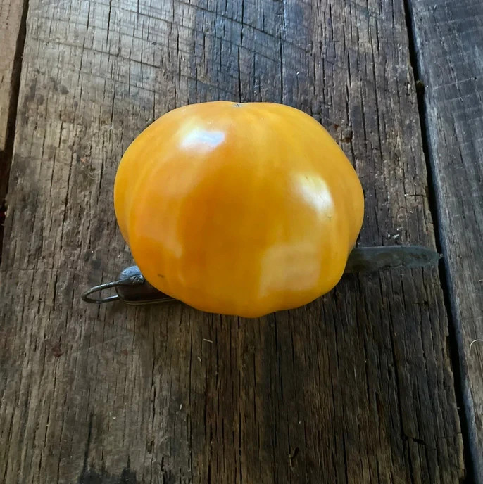 10 seeds Barnes Mountain Beefsteak Tomato Rare Heirloom Tetra-cis-lycopene 6.54!