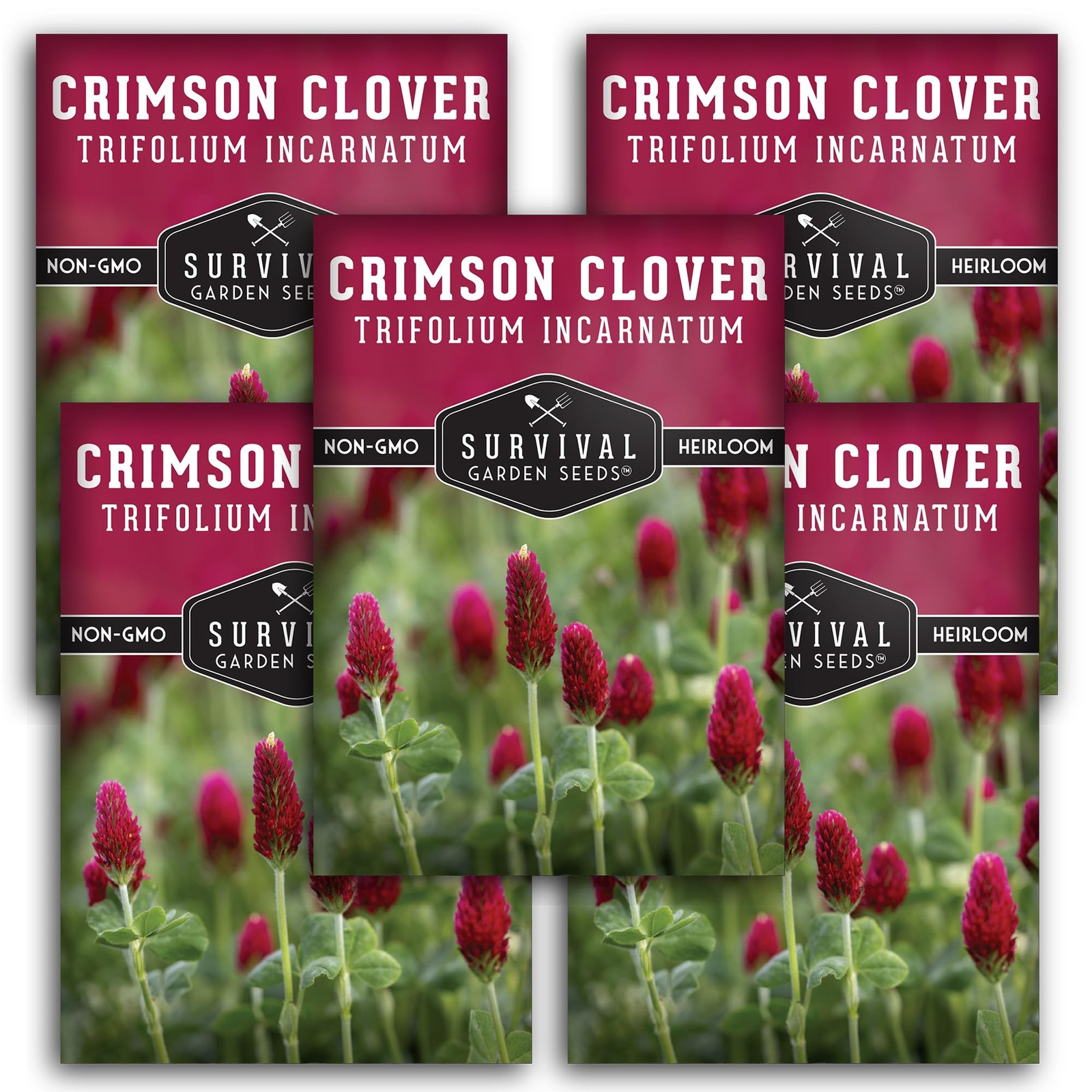 Crimson Clover Seeds Heirloom NonGMO Cover Crop for Soil & Pollinator Gardens
