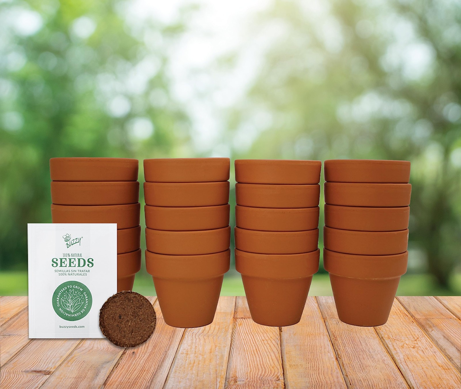 Daisy Seeds & Genuine Terracotta 5cm Mini Pot Bulk Pack (20 Count), Includes …
