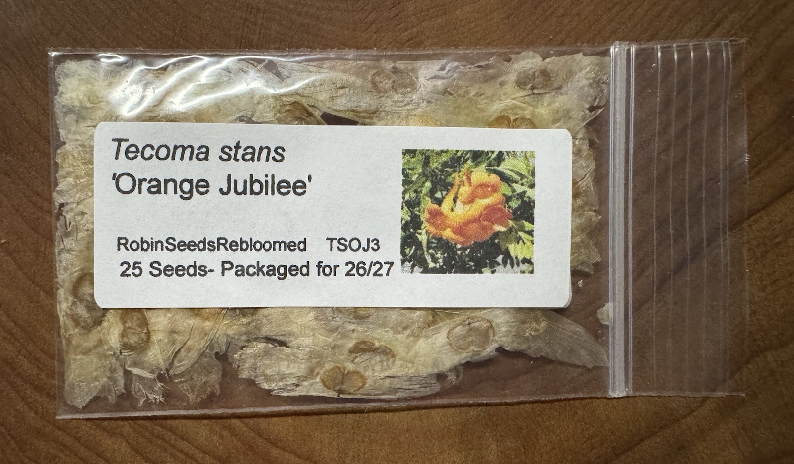 (25) Orange Jubilee (Tecoma Stans) Seed Flowering Shrub Seeds – Ships Free