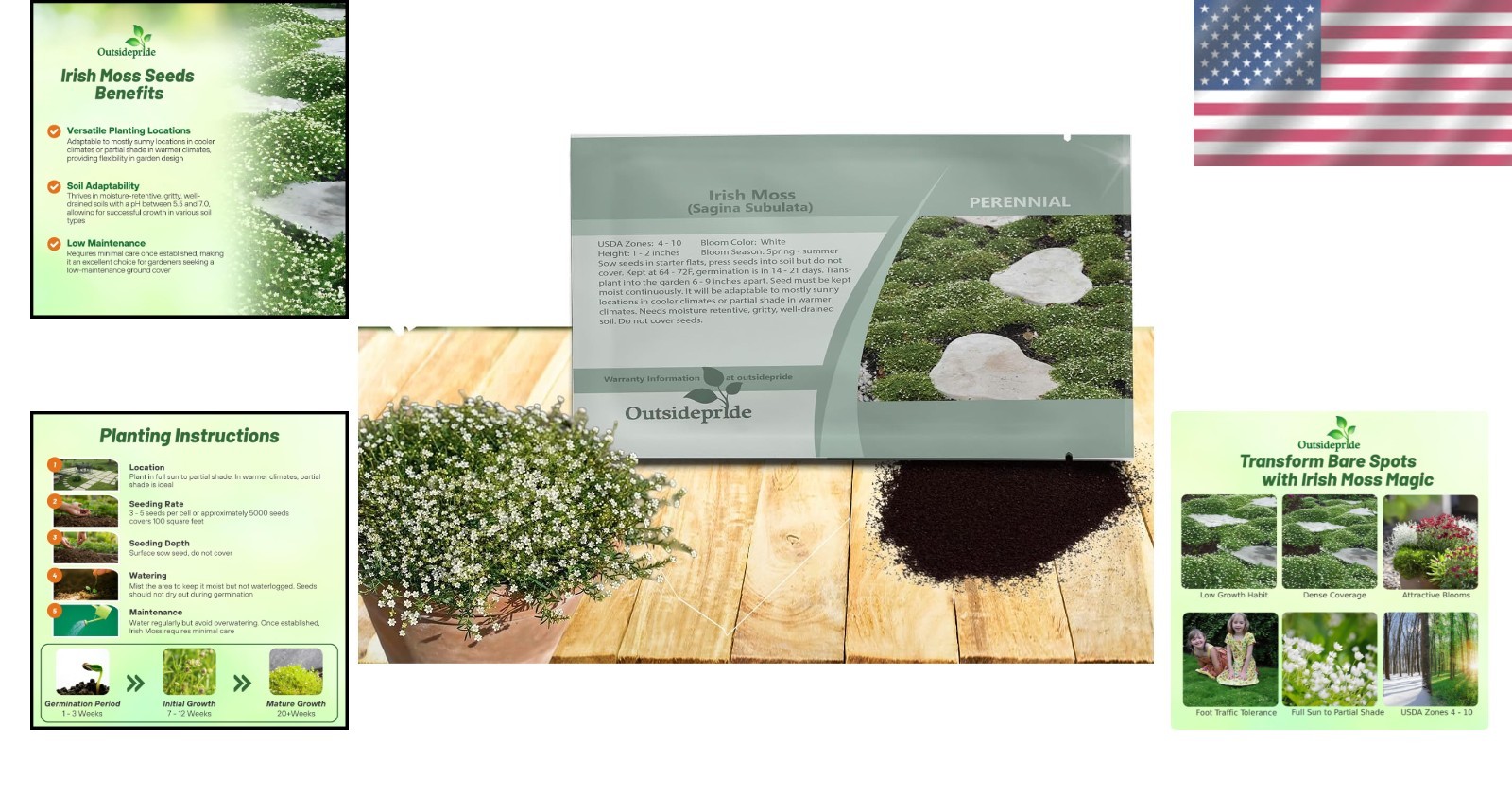 Moisture-Retaining Irish Moss Ground Cover Seeds – 5000 Count, GMO-Free