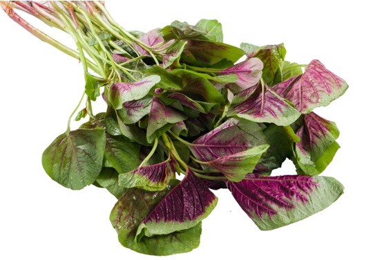 FreeShip 4oz 120,000 Rau Den Red Stripe Leaf AMARANTH Seeds; Chinese Spinach 紅莧菜
