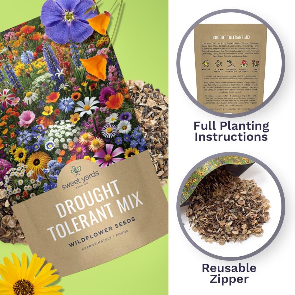 Drought Tolerant Wildflowers Mix – Bulk 5 Pounds – Over 600,000 Open Pollinat…