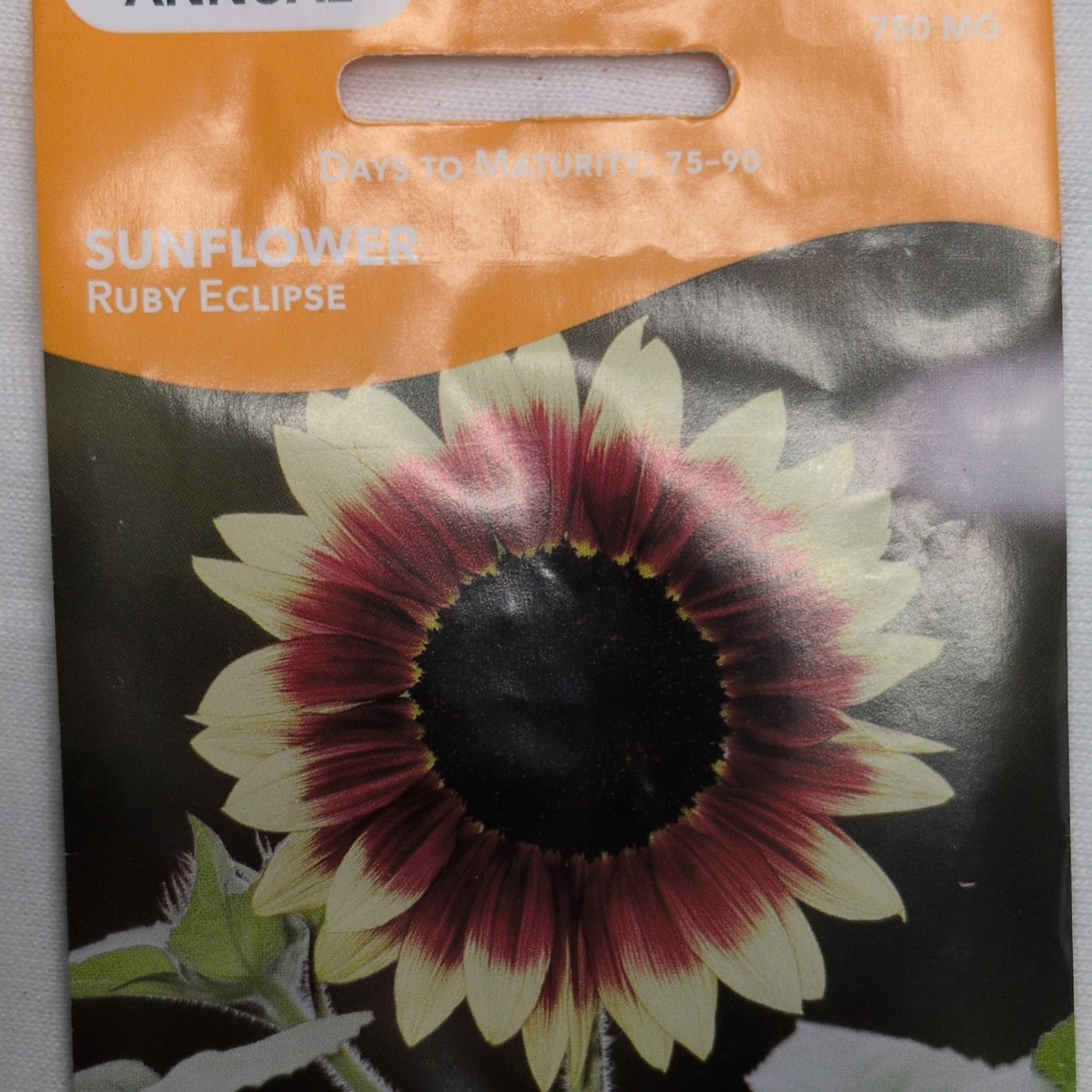 Livingston Sunflower Ruby Eclipse Annual Red Yellow Full Sun Pollen Free Y2060