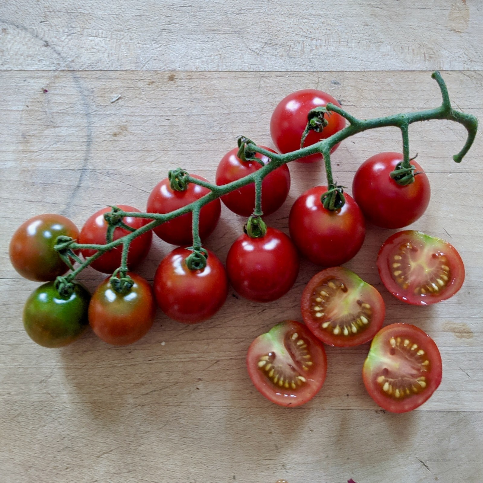 Be My Baby Cherry Tomato Seeds