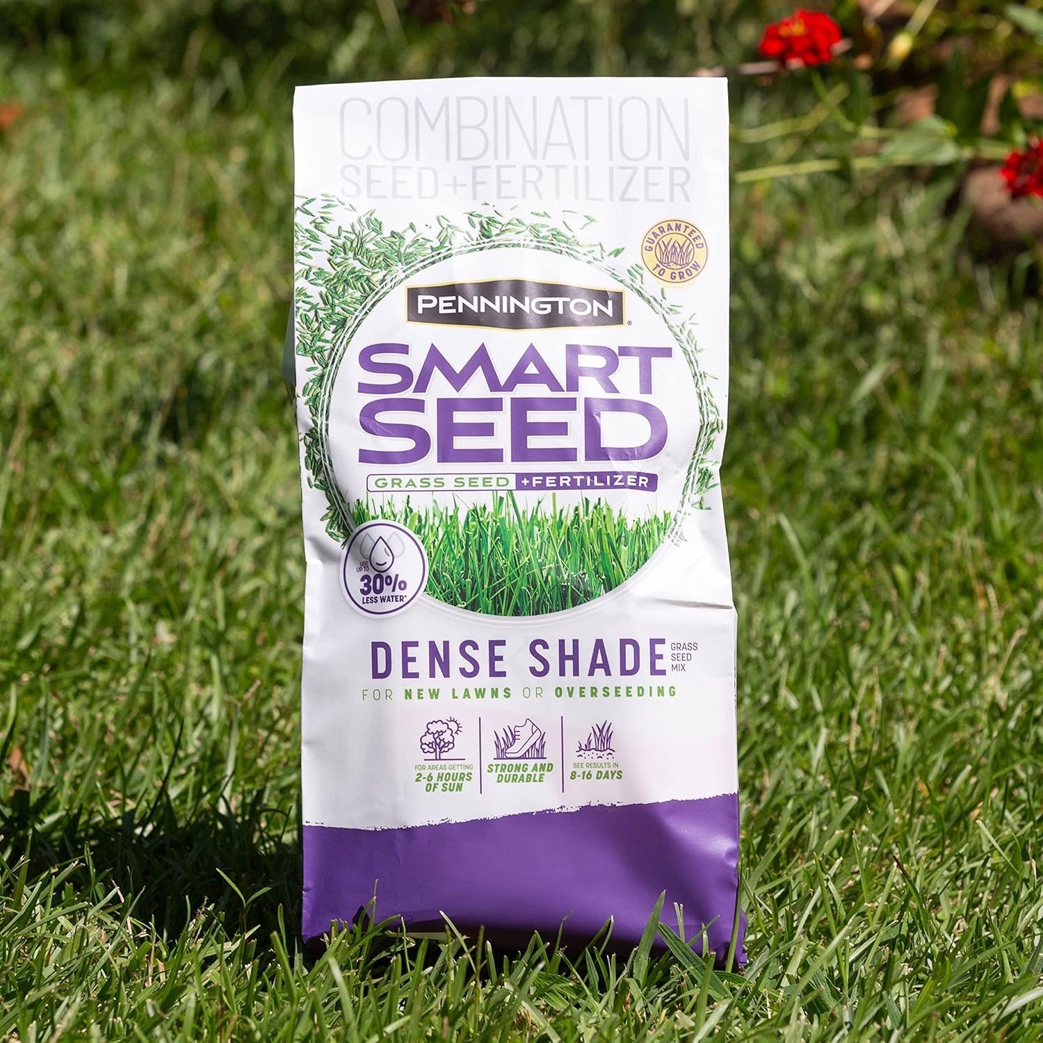 Smart Seed Dense Shade Grass Mix Bag 7 lb