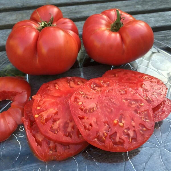 30 BEEFSTEAK TOMATO SEEDS ~ 2026 ~ heirloomseedguy ~ USA