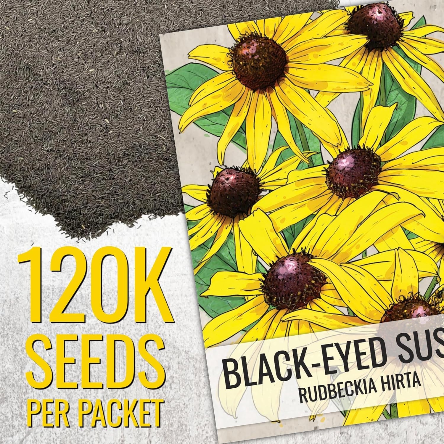 120,000+ Resealable Black Eyed Susan Seeds – Attracts Pollinators in Full Sun