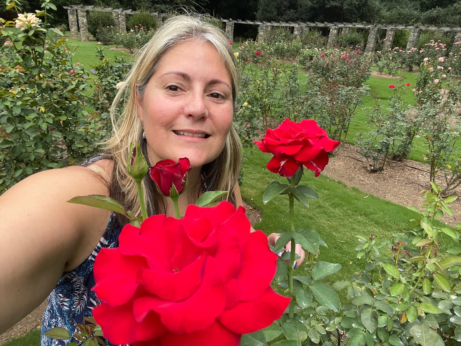 20 EXOTIC RARE ROSE SEEDS home garden flower plant bush diy sun Rosas hybrid USA