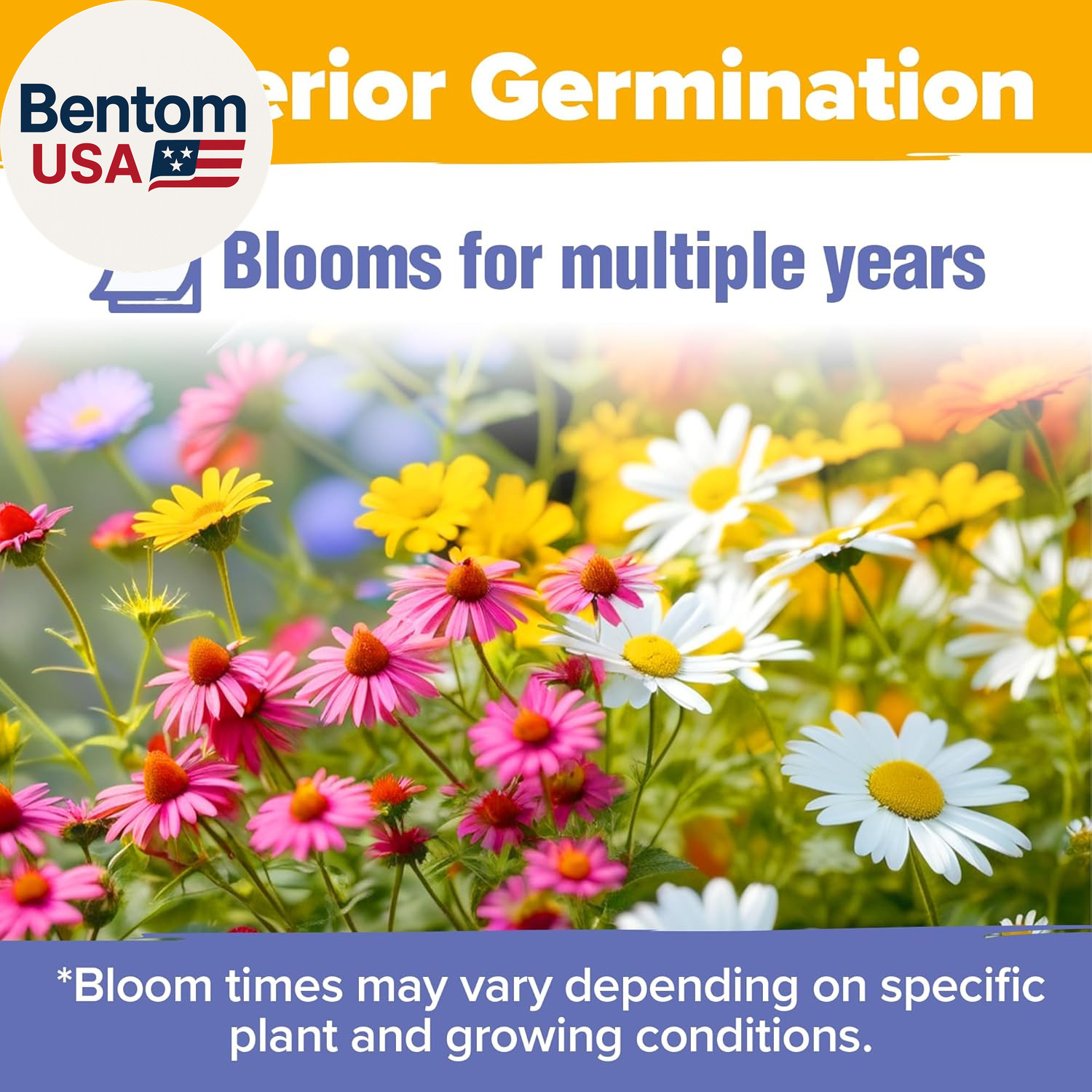 Wildflower Seeds Bulk 4 Oz 63,200+ Seeds 19 Varieties Non-Gmo Perennial Mix, But