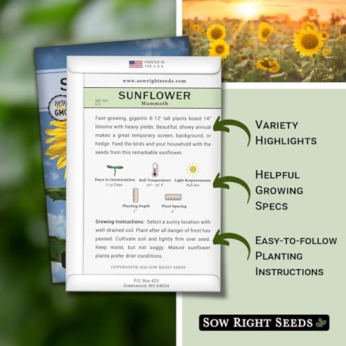 – Mammoth Sunflower Seeds to Plant – Grow Giant Sunflowers in Your Garden – 1