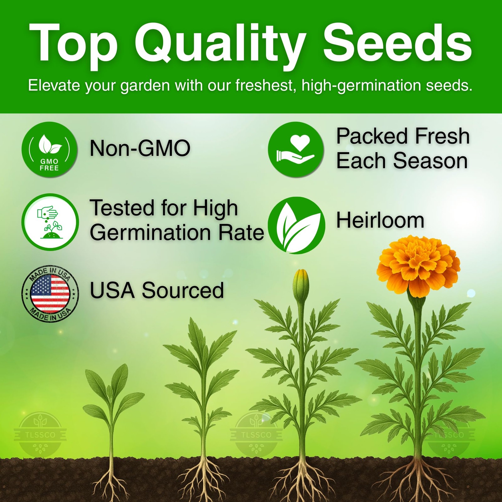 TLSSCO 1450+ French Petite Marigold Seeds, Pack for 2026 USA Premium Multi