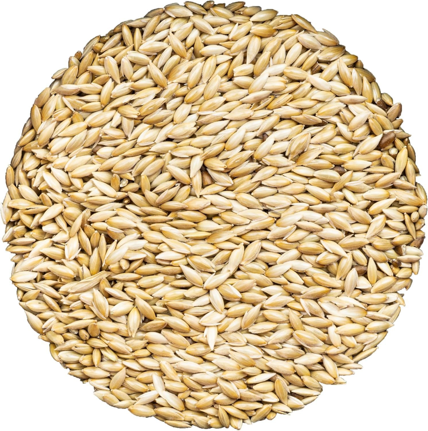 Alpiste Canary Seed | 100% Pure, Natural & Non-Gmo Bird Food for Canaries
