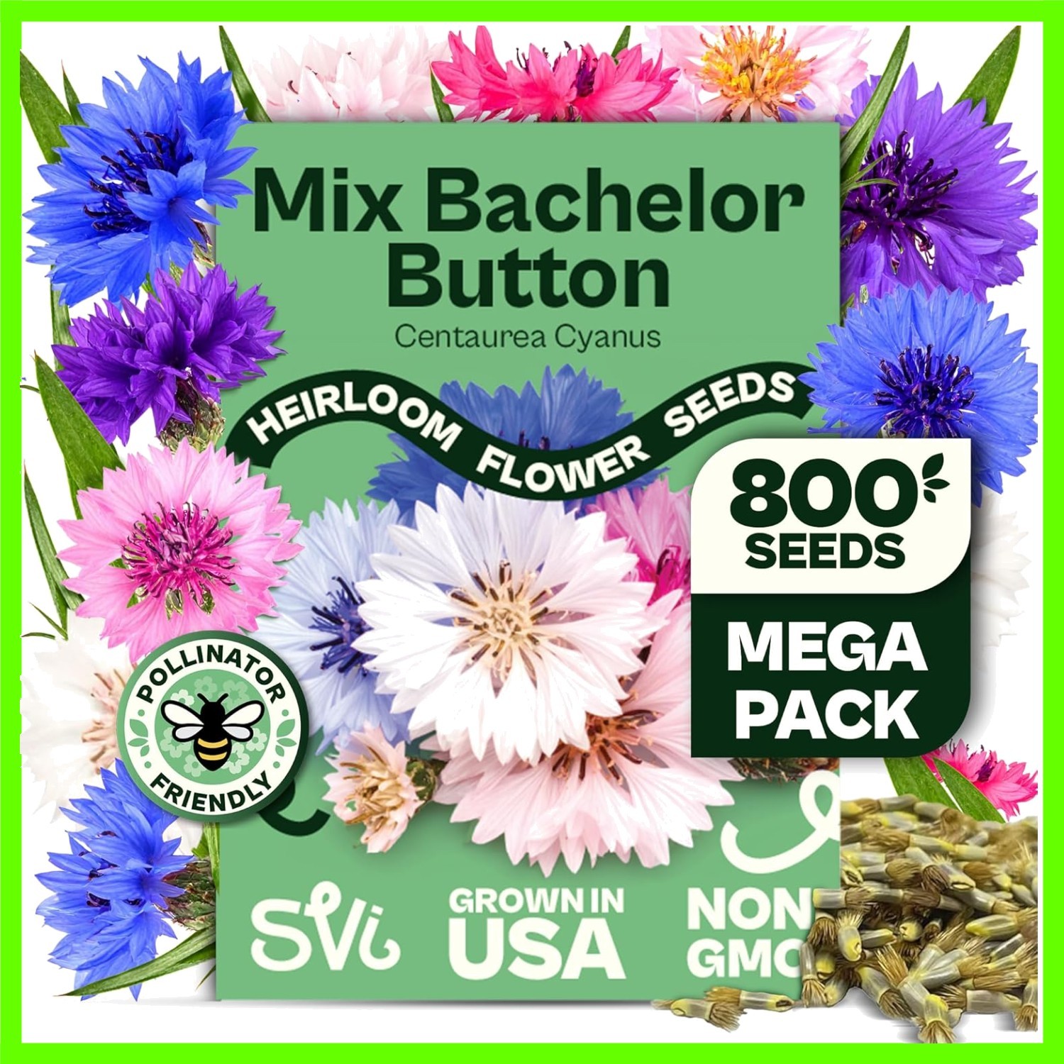 800 Bachelor Button Seeds for Planting Centaurea cyanus – Cornflower, Wildflo…