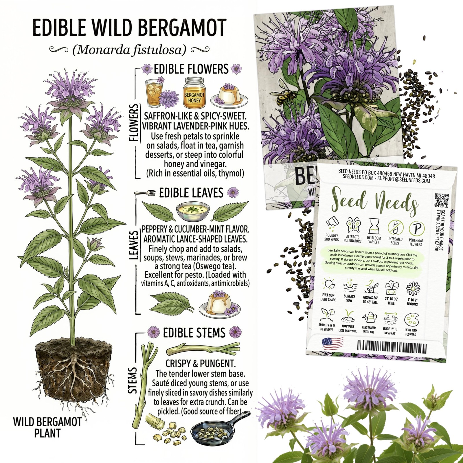Edible Flower Seeds Variety Pack of 7 Wildflowers for Garnishing
