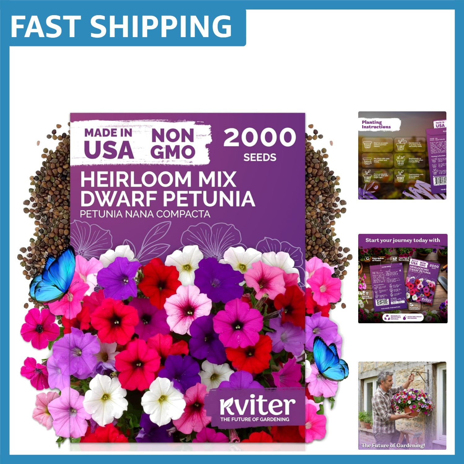 Vibrant Mini Petunia Flower Seeds – 2,000 Count Non-GMO for Pollinator Gardens