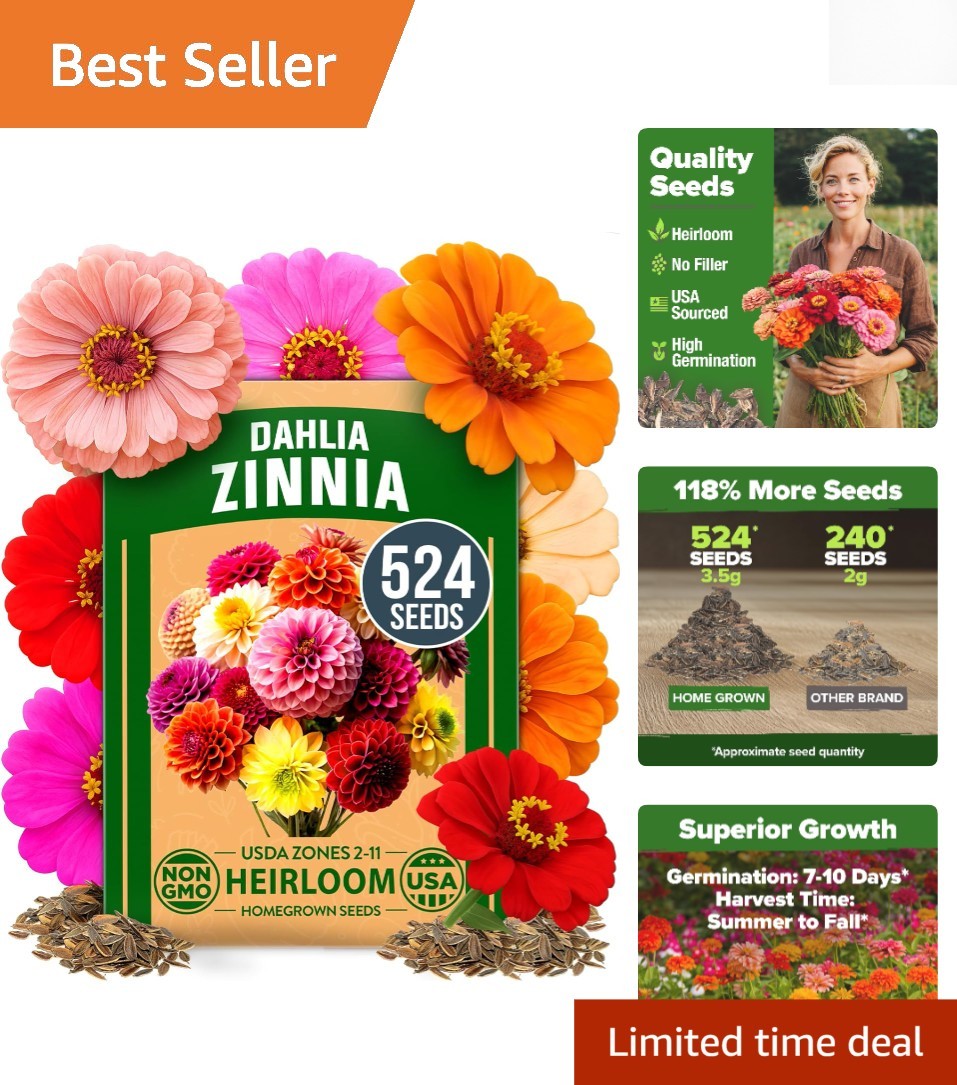 Vibrant Zinnia Dahlia Seeds – Non-GMO Pack of 524 for Stunning Summer Gardens