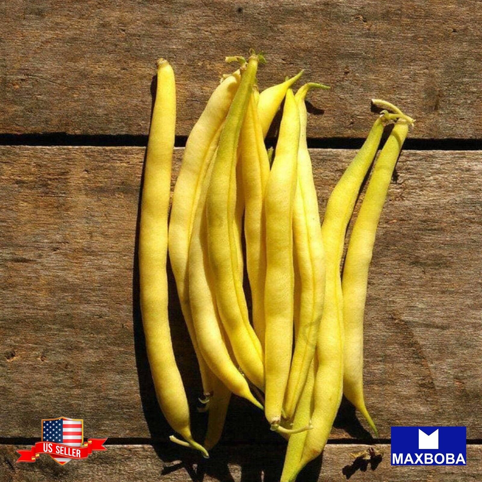 16 Bean Fresh Seeds – Golden Wax – Organic Non-GMO Heirloom Vegetable