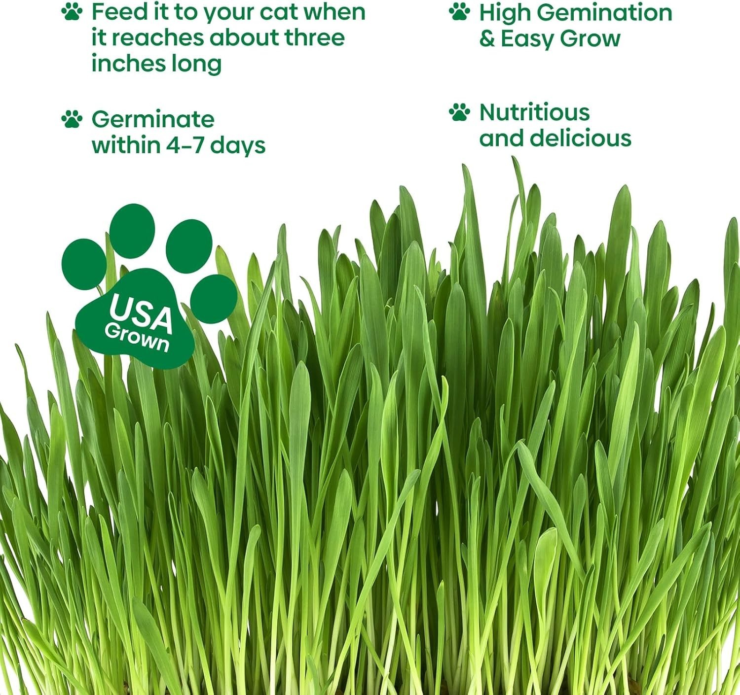 Cat Grass Seed Mix – Non-GMO, Fast Germinate, 4 Varieties, 4 oz
