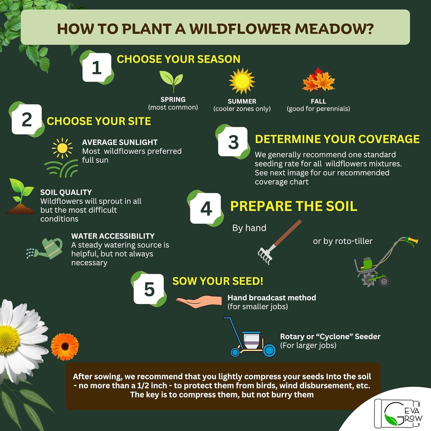 Save the Bees Wildflower Mix 1LB Tub – 300,000+ Seeds for Bee-Friendly Gardens