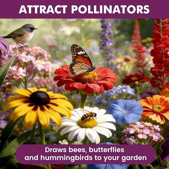 Wildflower Seeds Bulk 10000+, 1.06oz 21 Variety Perennial Mix, Multicolor