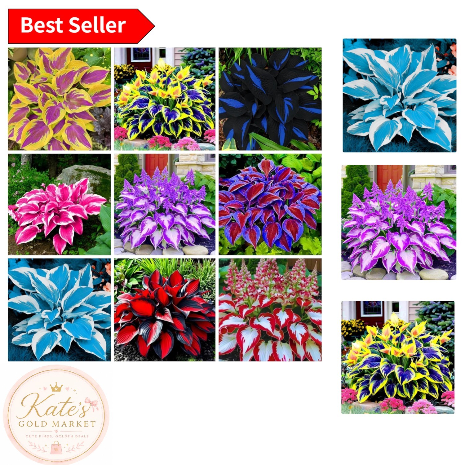 350+ Heart-Shaped Hosta Seeds – Drought-Tolerant, Low Maintenance Beauty