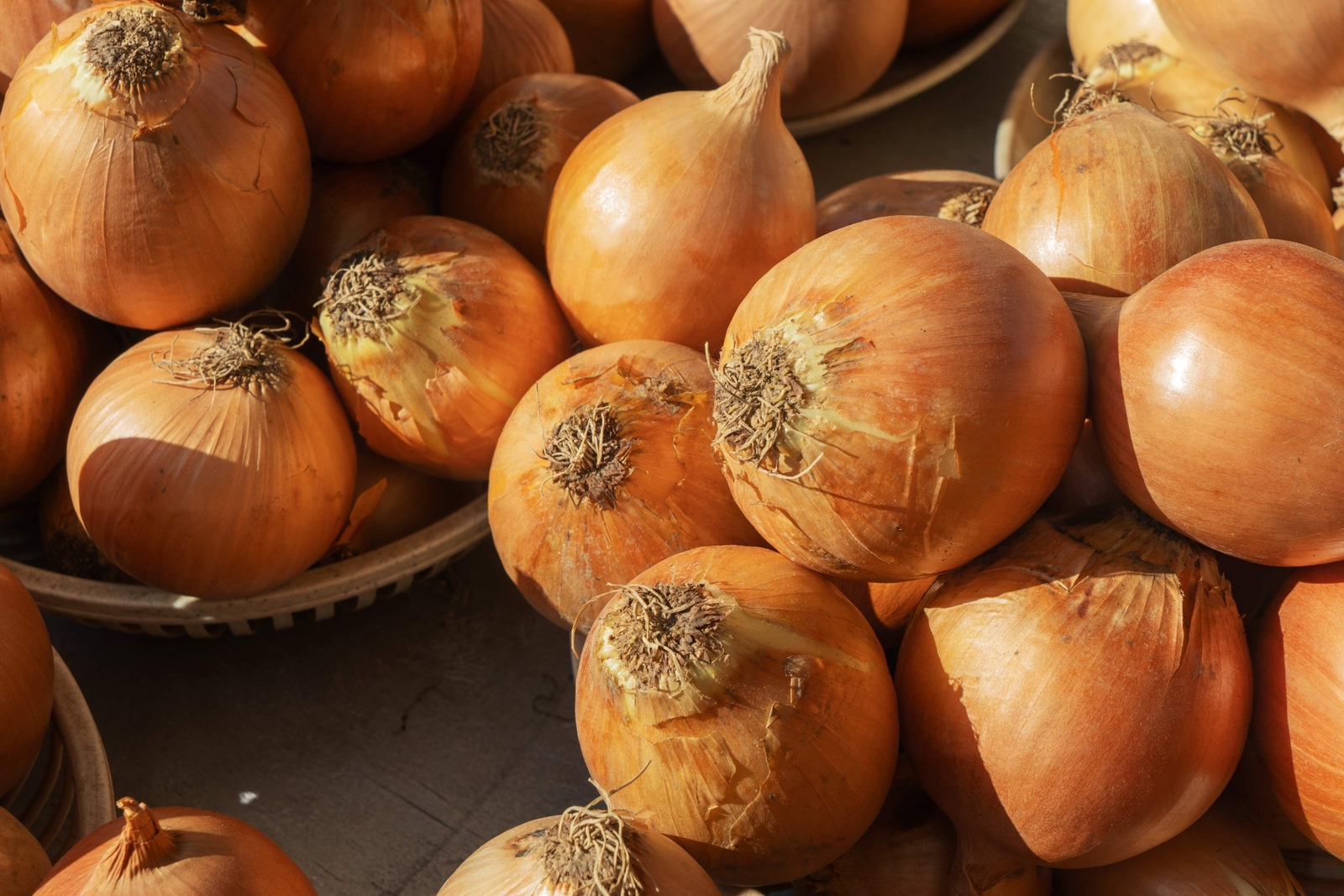 250 SWEET WALLA WALLA ONION Allium Cepa Vegetable Seeds *Flat S/H