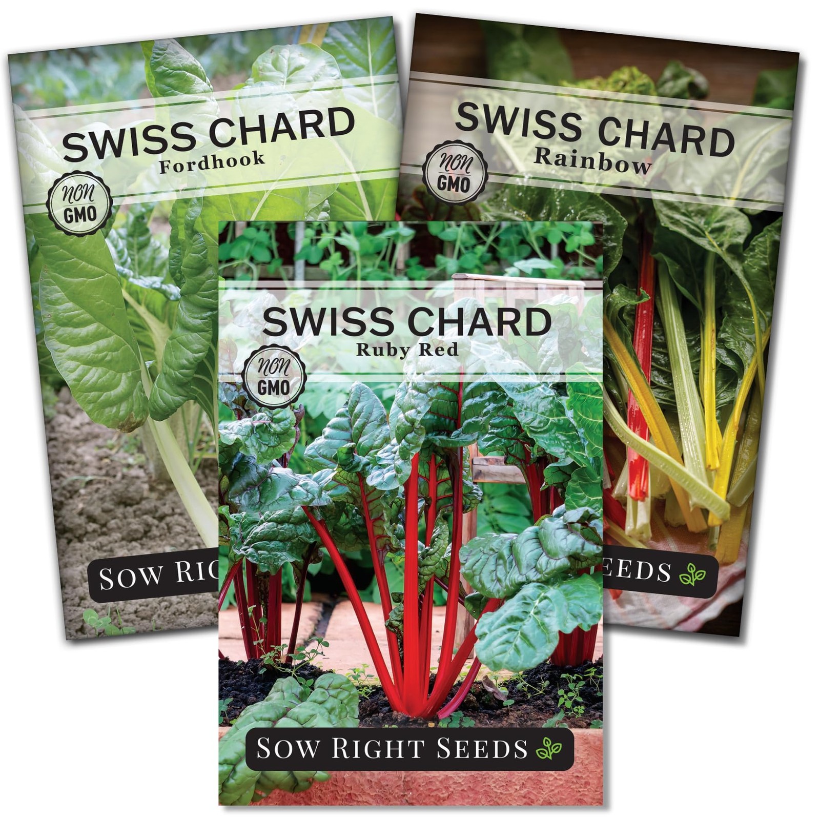 Swiss Chard Seed Collection NonGMO Heirloom Varieties for Your Garden
