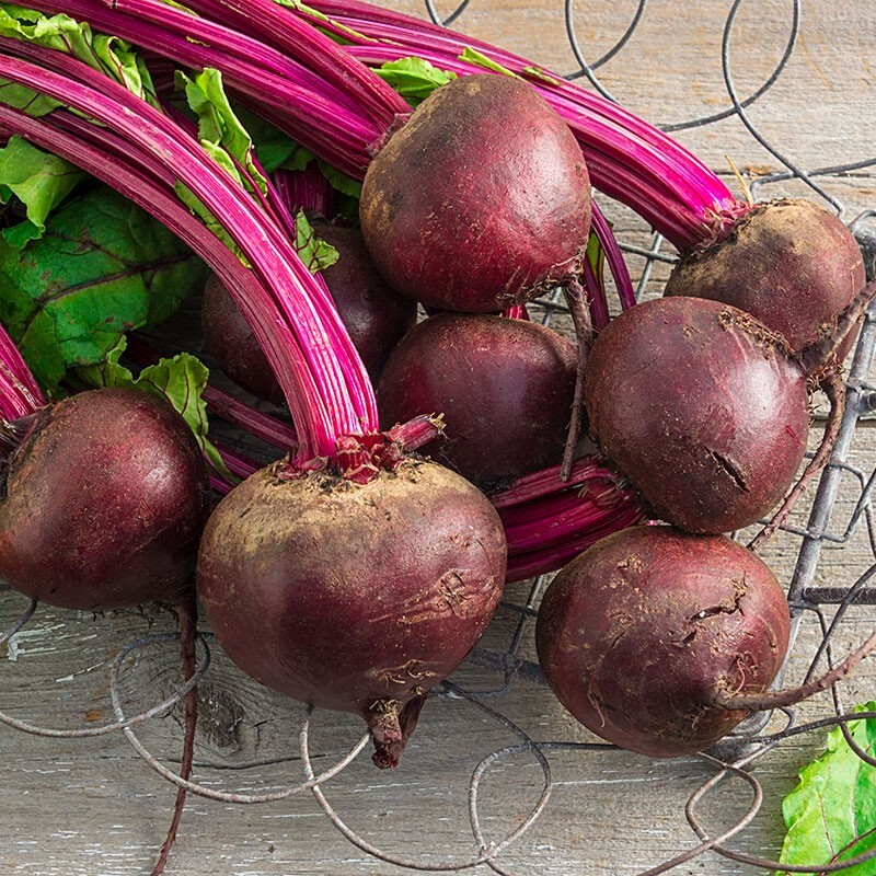 Detroit Dark Red beet seeds heirloom JUICING! NON-GOM delicious roasted HEALTHY!