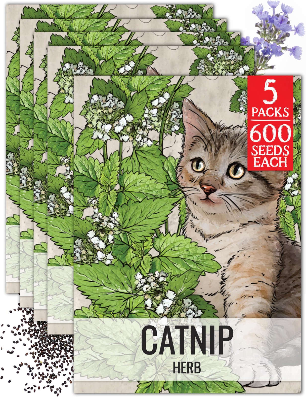 Catnip Seeds for Planting – Non-GMO Heirloom Herb Seed for Home Garden (5 Packs)