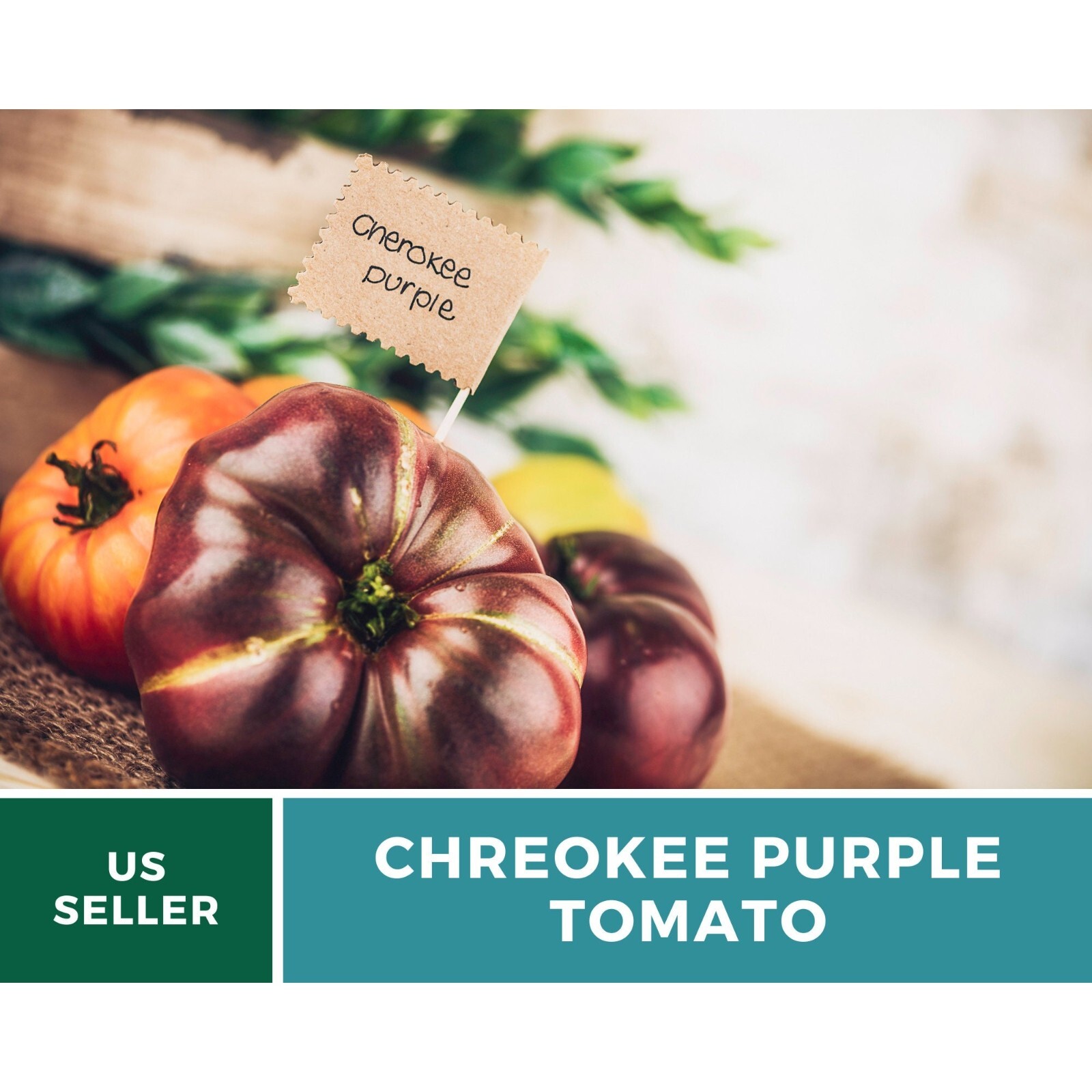 Tomato, Cherokee Purple – Heirloom Seeds – Non-GMO (Solanum lycopersicum)