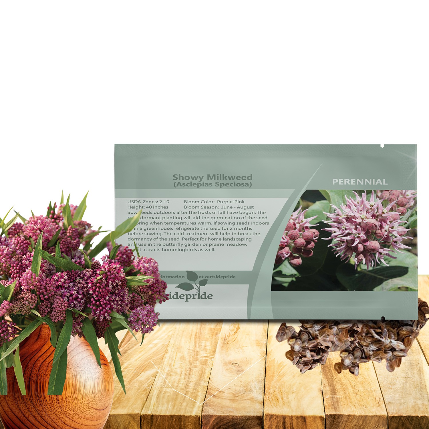 100 Seeds Drought Tolerant Showy Milkweed Asclepias Speciosa Garden Flower Seeds