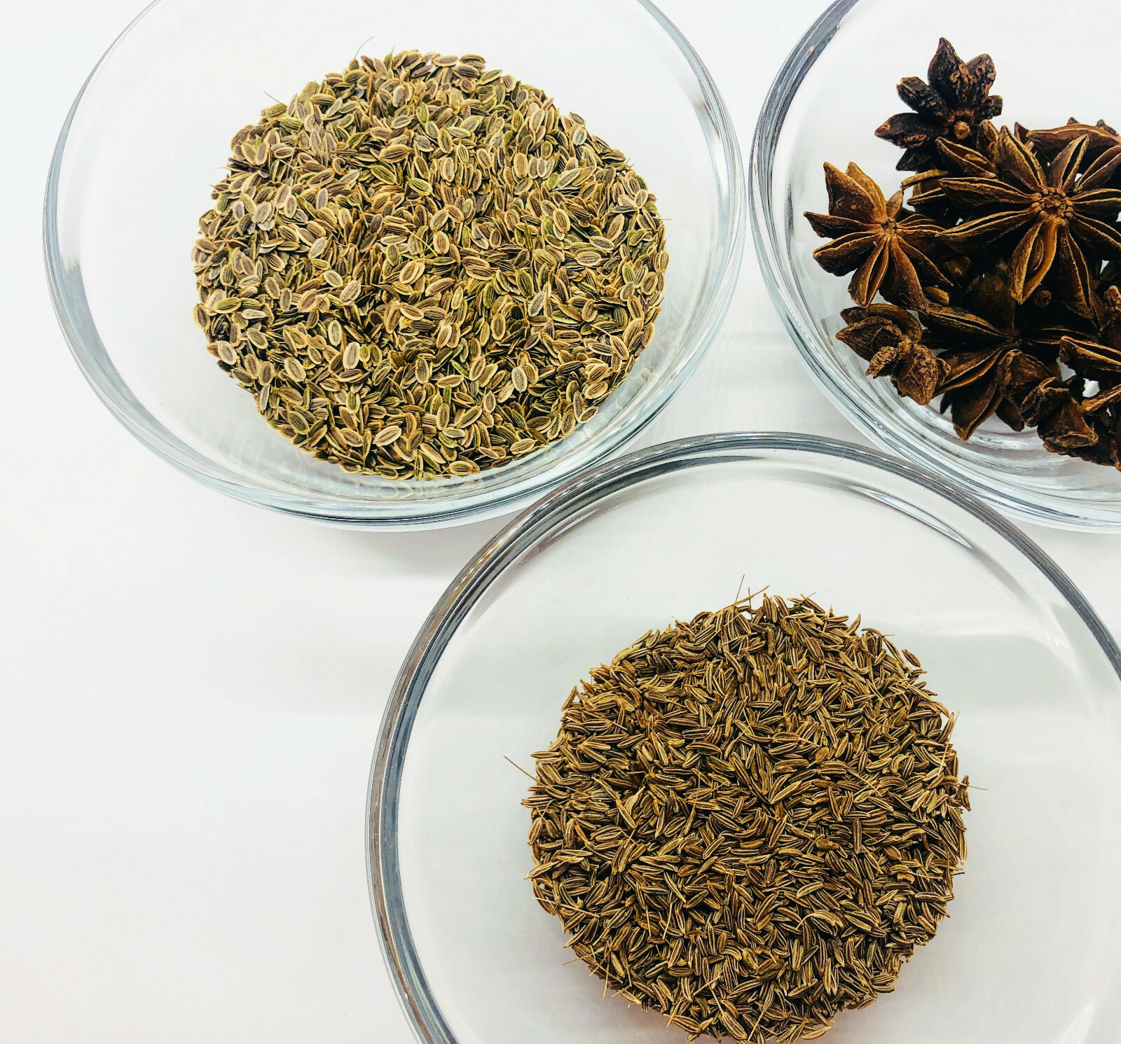 Caraway 500 Herb Seeds Carum carvi Heirloom Biennial for Planting, Fragrant Leaf
