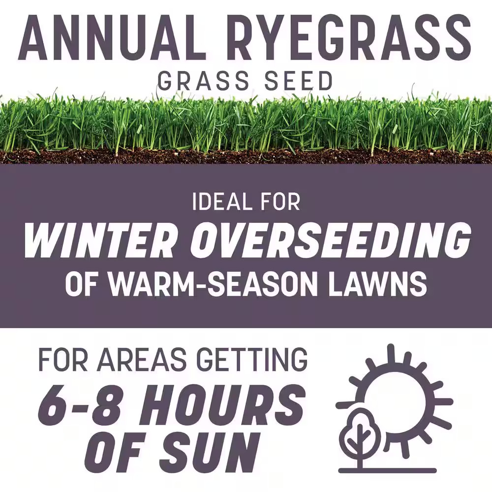 50 lb. Annual Ryegrass Seed – Covers 10,000 sq. ft., Fast-Growing Lawn