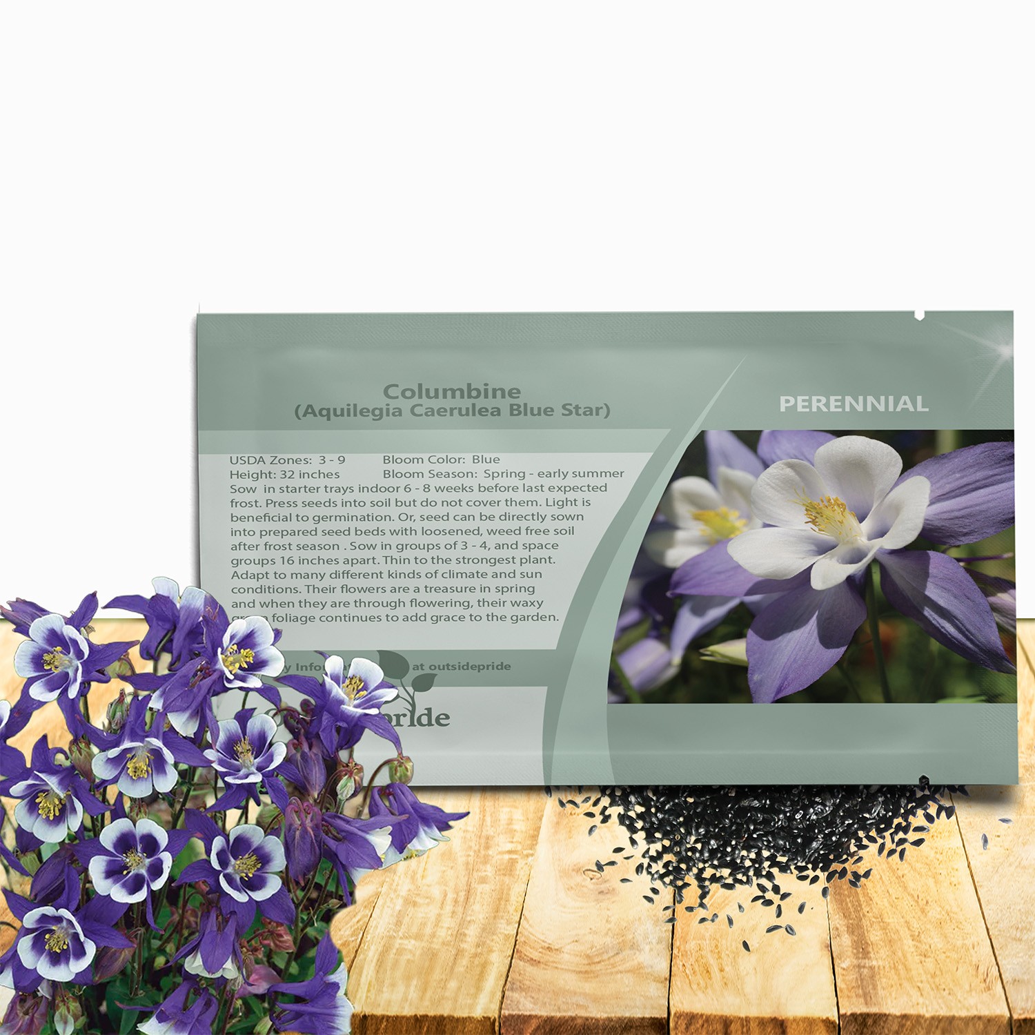 2000 Seeds Columbine Seeds – Aquilegia Caerulea Flower Seed