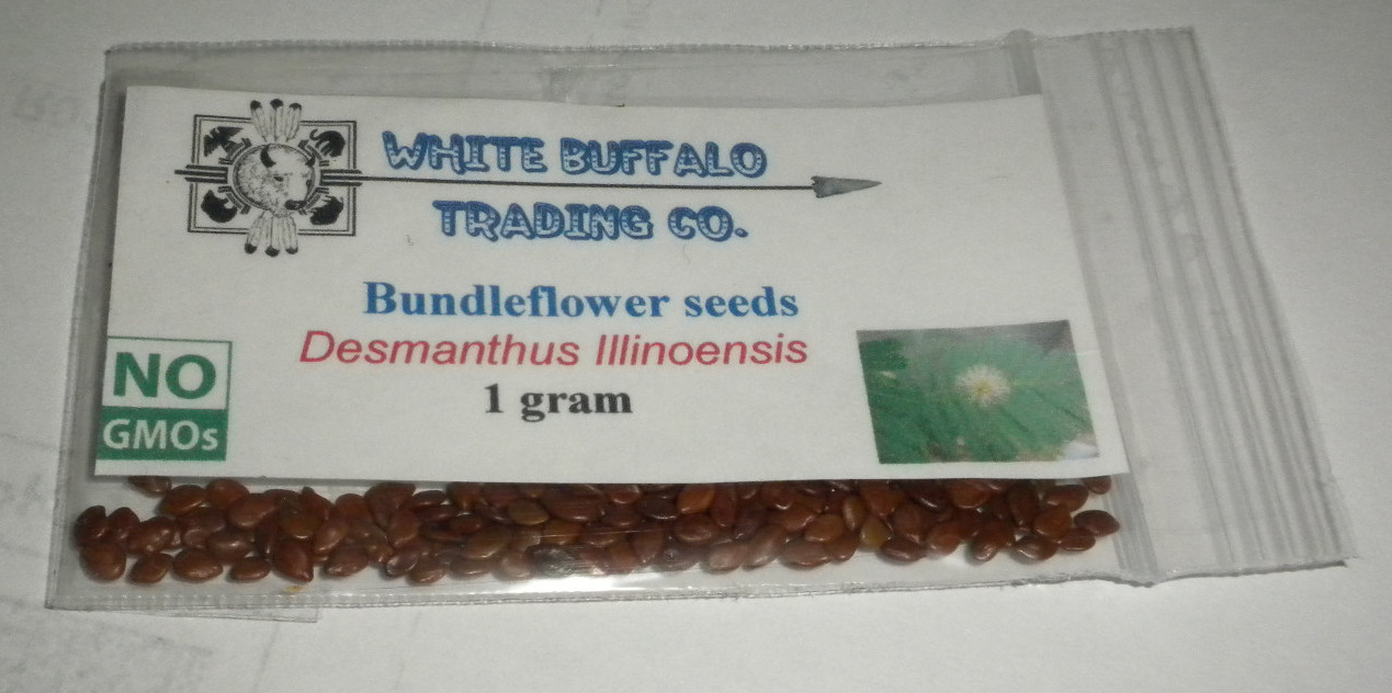 1 OZ 4,000+ Desmanthus Illinoensis ILLINOIS BUNDLEFLOWER seeds USA Grown