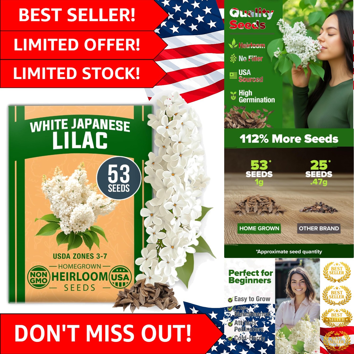 53 Heirloom White Lilac Seeds – Non-GMO, Fragrant Flowering Tree for Gardens