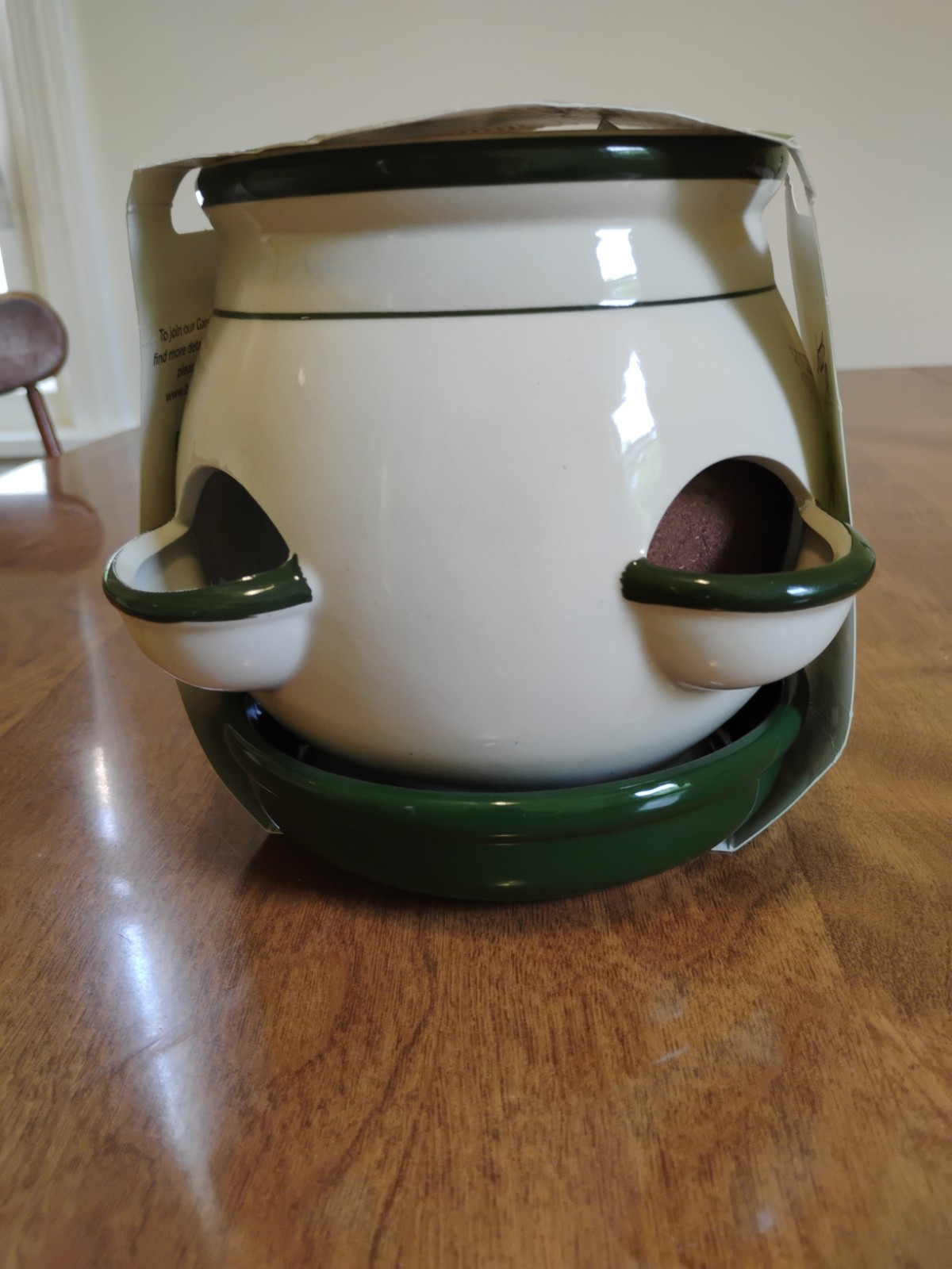 Buzzy Herb Grow Kit Includes Ceramic Planter, Basil, Cilantro, And Parsley…
