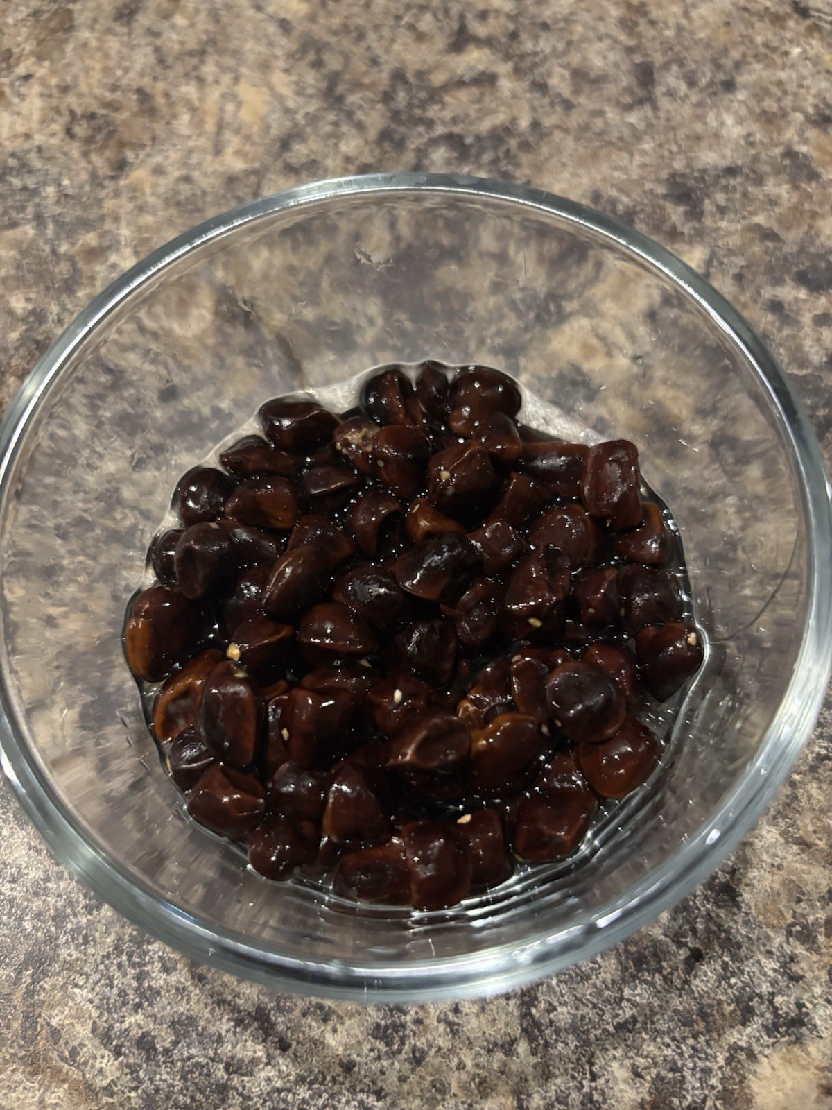 15 Fresh Tamarind Seeds Sweet Tamarindus Indica Thai Tree Garden Non-GMO