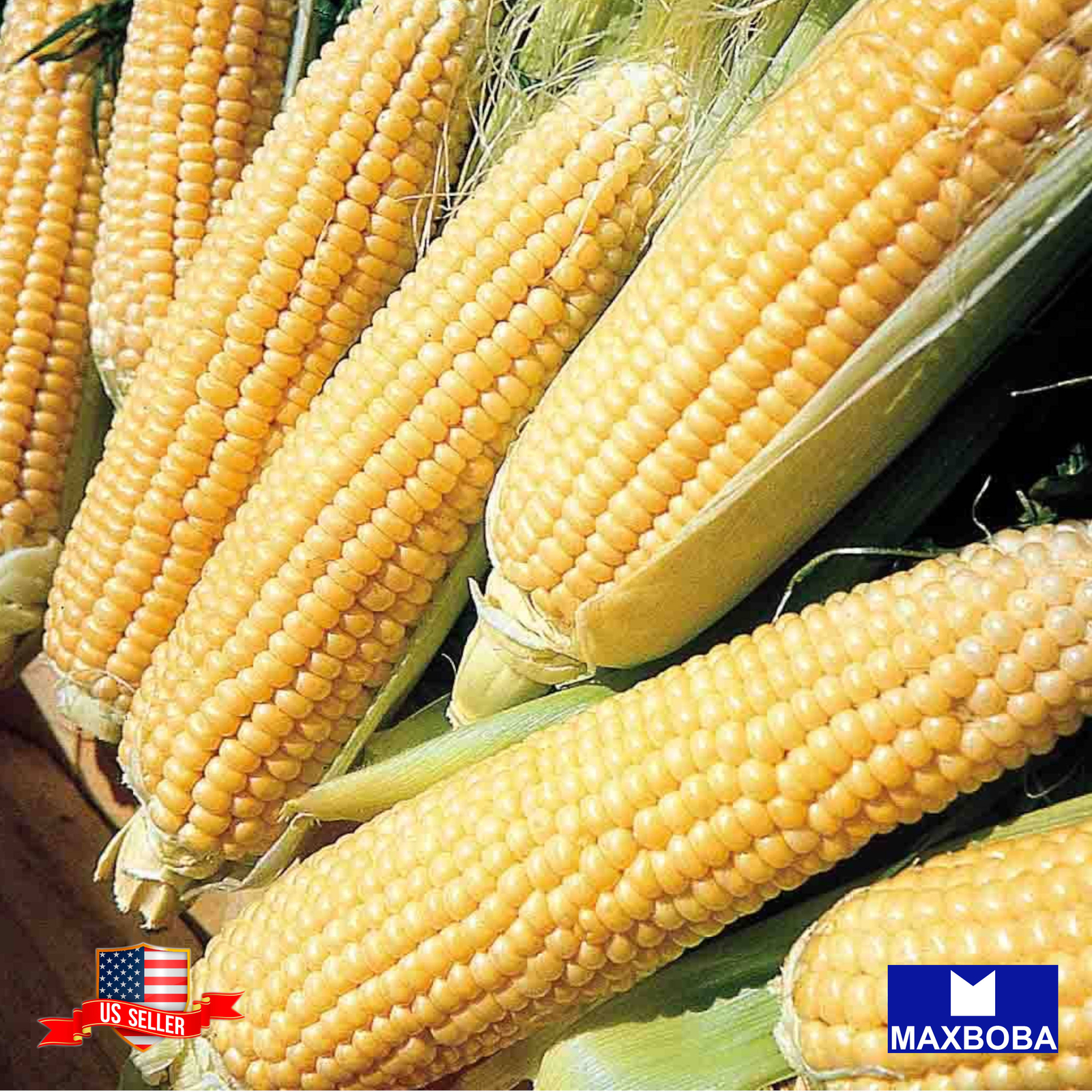 Corn Seeds (se) – Kandy Korn Hybrid Vegetable Garden Non-GMO