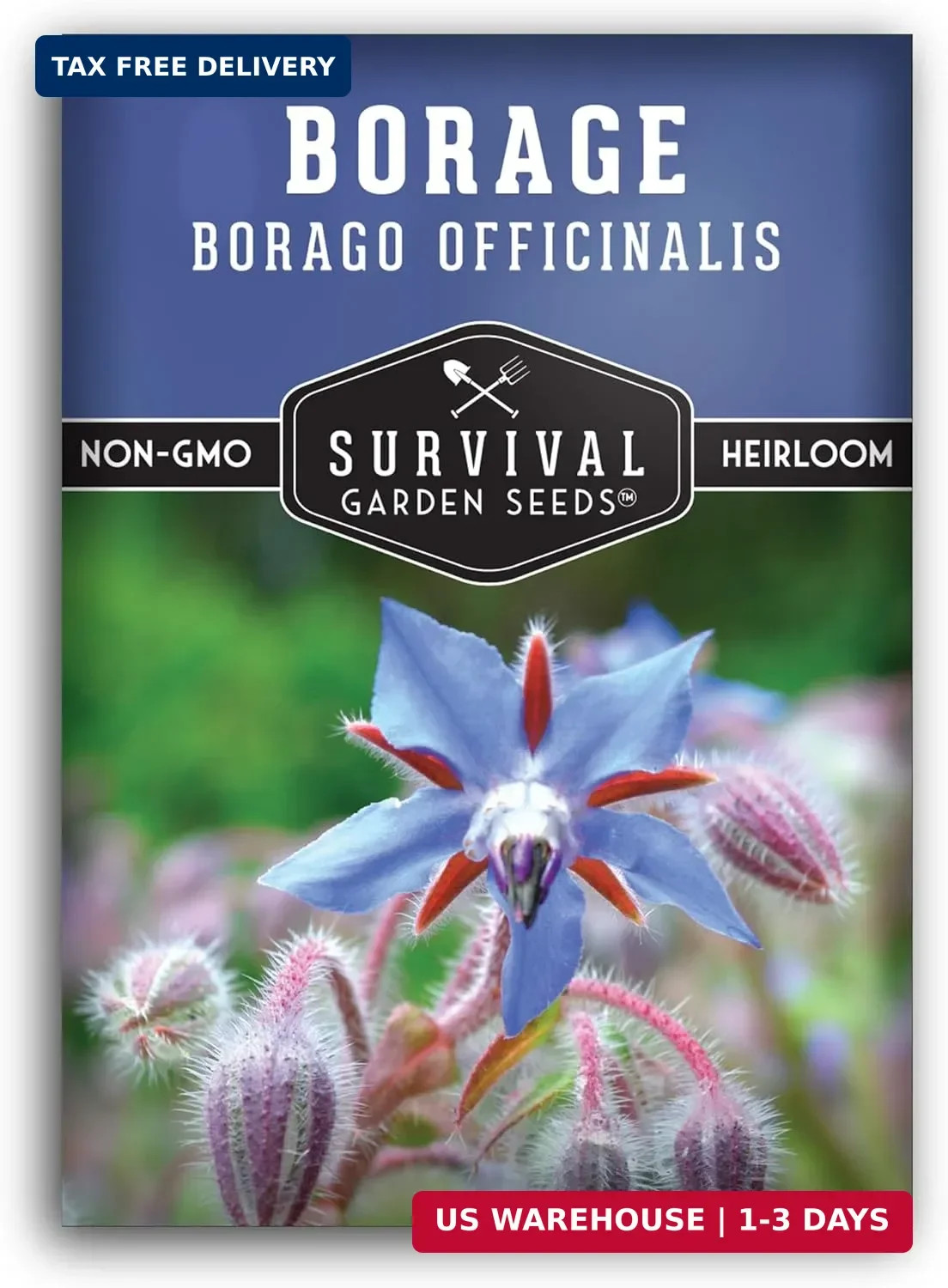 Borage Seeds for Planting – Blue Starflower Herb with Flowers for Bees & Butterf